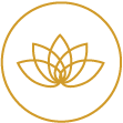 Icon Wellness.